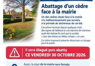 Flyer abattage cèdre vendredi 30 octobre 2026