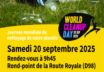 Affiche World Cleanup Day 2025