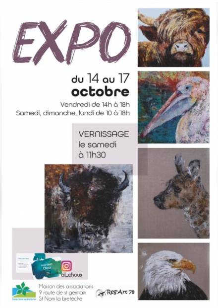 Exposition Anne-Laure Choux