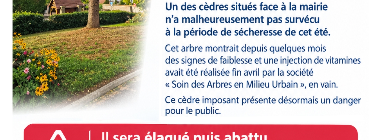 Flyer abattage cèdre vendredi 30 octobre 2026