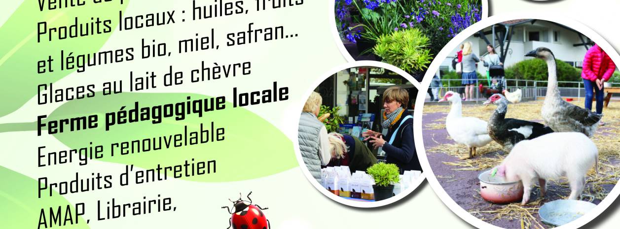 Affiche fête de l'Environnement 2025