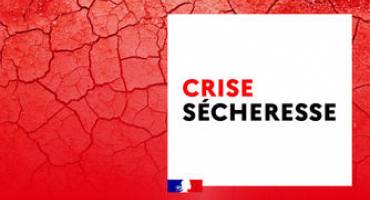 Sécheresse situation de crise